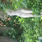 Wohlfuehloase Fuer Natur- Und Gartenliebhaber By Interhome Валькенрид