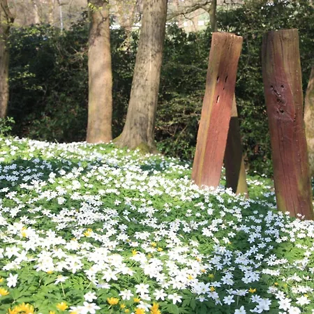 Wohlfuehloase Fuer Natur- Und Gartenliebhaber By Interhome