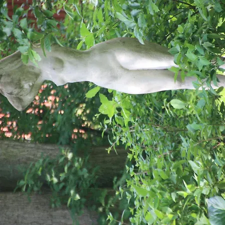 Wohlfuehloase Fuer Natur- Und Gartenliebhaber By Interhome Walkenried