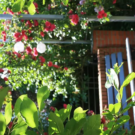 Wohlfuehloase Fuer Natur- Und Gartenliebhaber By Interhome *