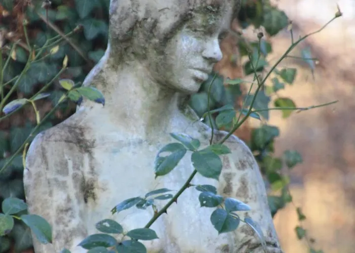 Wohlfuehloase Fuer Natur- Und Gartenliebhaber By Interhome Walkenried