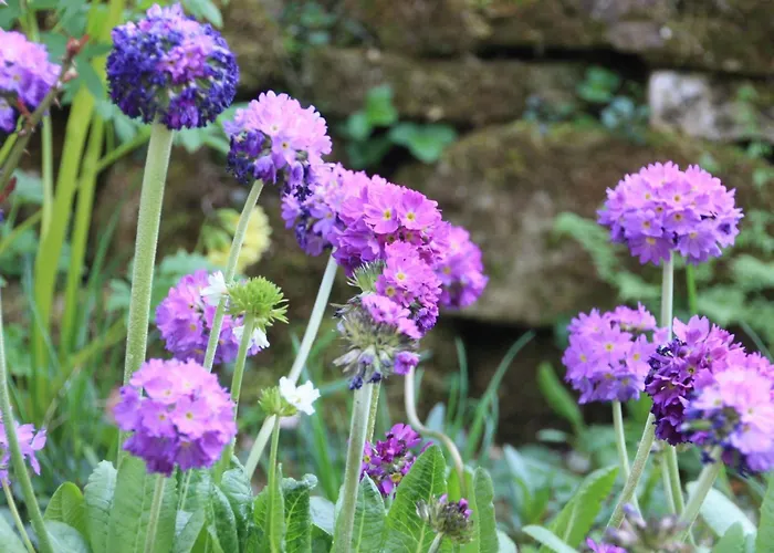 Wohlfuehloase Fuer Natur- Und Gartenliebhaber By Interhome アパート